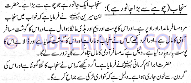 sanjab