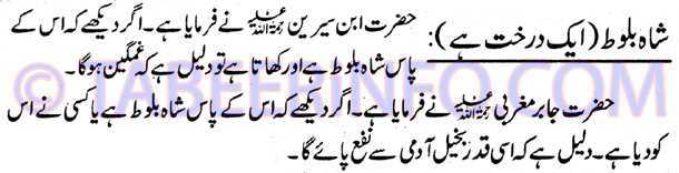 shah-baloot