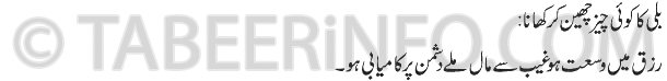 billi ka koi cheez cheen ka tabeer