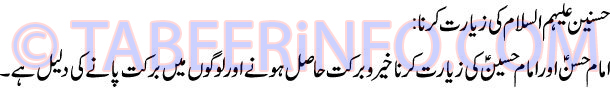 husain-alai-hi-salam-ki-zia