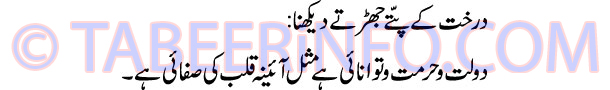 darakhat-k-pattay-jhartay-d