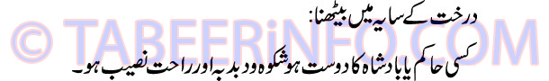darakhat-k-saya-me-bethna-t