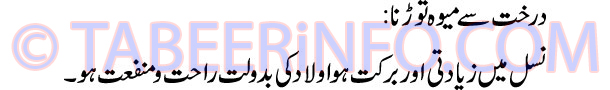 darakhat-se-mewa-torna-tabe