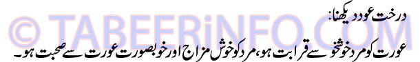 darakht-oad-dekhna-tabeer