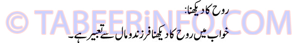 rooh-ka-dekhna-tabeer