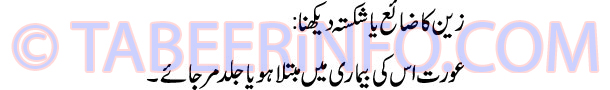 zain-ka-zaia-ya-shikasta-de