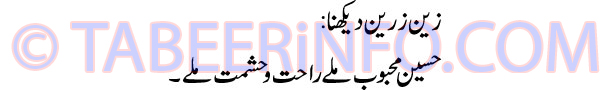 zain-zareen-dekhna-tabeer