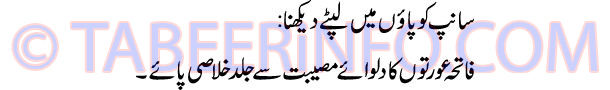 saanp-ko-paon-me-lipte-dekh
