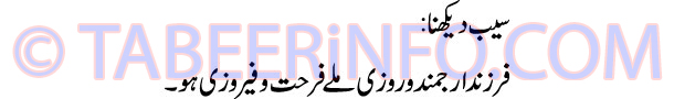 saib-dekhna-tabeer