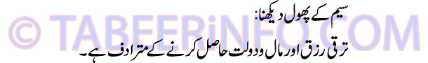seem-k-phool-dekhna-tabeer