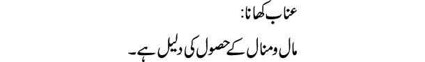 anab-khana-tabeer