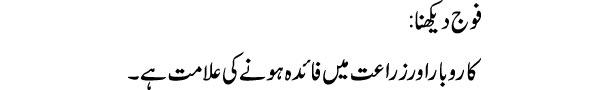 fauj-dekhna-army-tabeer
