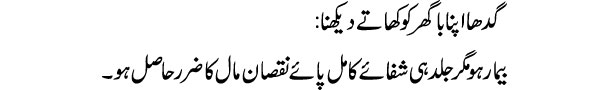 gadha-apna-baghar-ko-khate-