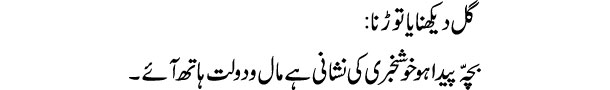 gul-dekhna-ya-torna-tabeer