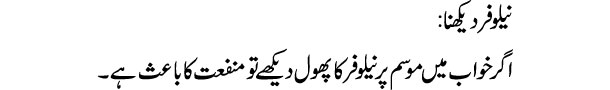 nilofar-dekhna-tabeer