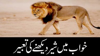khwab mein sher dekhna ki tabeer