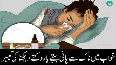 Khwab Mien Naak Se Paani Behtay Dekhna Ki Tabeer