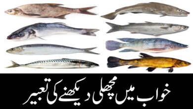 khwab mein machli dekhna ki tabeer