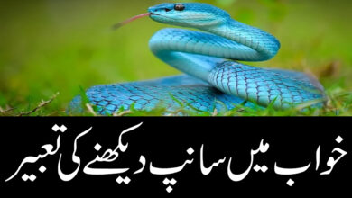 khwab mein saanp dekhna ki tabeer