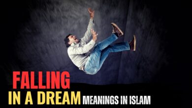 Falling in a Dream Meanings In Islam