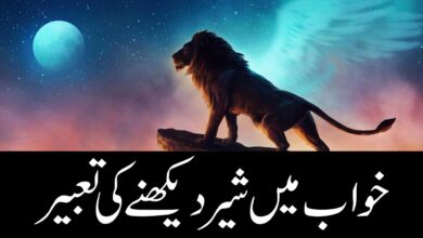 khwab mein shair dekhna ki tabeer